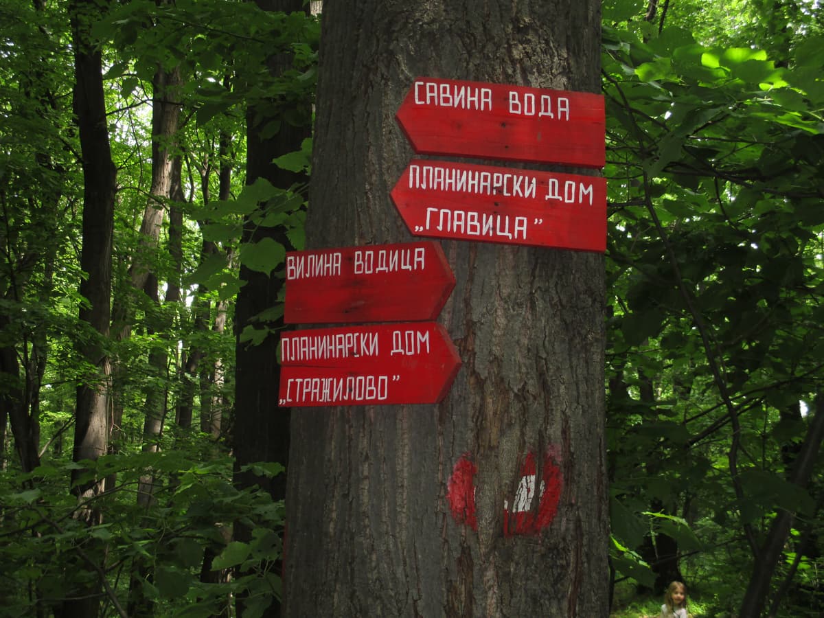 Red hiking signs nailed to a tree on a Fruška Gora trail